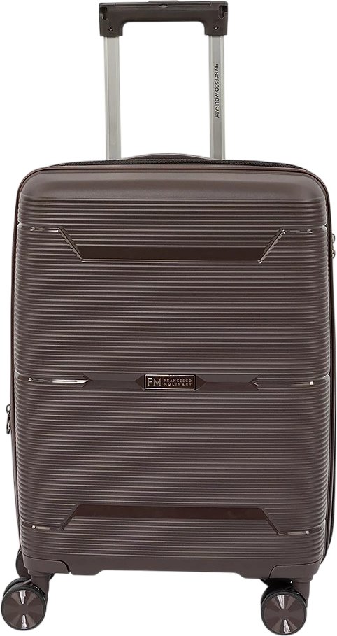 

Чемодан-спиннер Francesco Molinary 344-209/3-20BRW (коричневый)