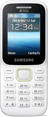 Кнопочный телефон Samsung Guru Music 2 (белый) [B310E]