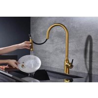 Смеситель Paulmark Iniversal Un213880-BG (золото/брашированное золото)