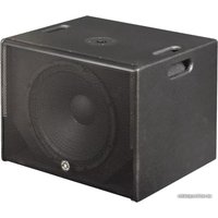 Активный сабвуфер Topp Pro TP MAXX10ASUB