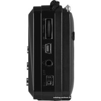 Радиоприемник SVEN PS-60