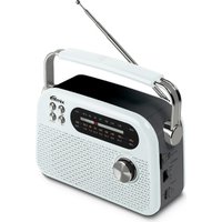 Радиоприемник Ritmix RPR-045 (белый)