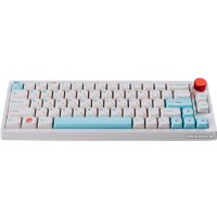 Клавиатура Epomaker TH66 Pro (Epomaker Budgerigar)