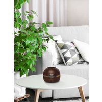 Увлажнитель воздуха Concept ZV1006