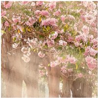 Фотообои Citydecor Сказочная природа 5 100x260