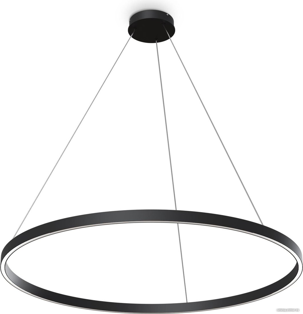 

Подвесная люстра Maytoni Rim MOD058PL-L54BK