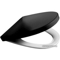 Сиденье для унитаза Roca Victoria Nord ZRU9302627 (черное)