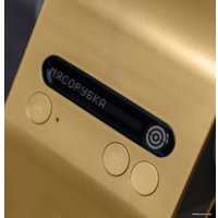Мясорубка BORK M786 Gold