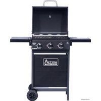 Газовый гриль для дачи Activa Cabrio 3.0 12200R