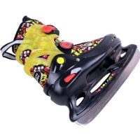 Коньки Tech Team Arctic Boy многоцветный (р. 34-37)