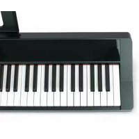 Цифровое пианино PIANOVA MA-50 BK в Гомеле