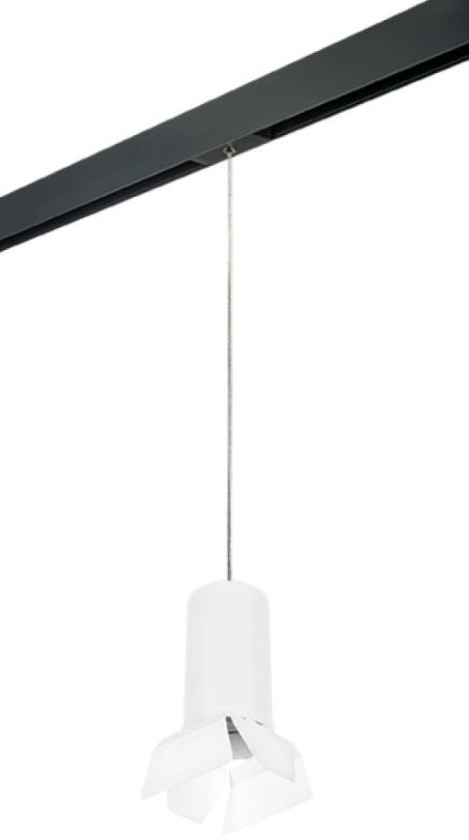 

Трековый светильник Lightstar Rullo PRORP6486486