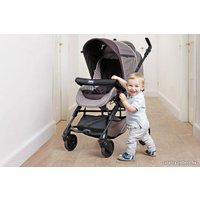 Универсальная коляска Chicco Trio Living Smart