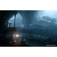 Компьютерная игра PC Rise of the Tomb Raider