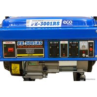 Бензиновый генератор ECO PE-3001RS