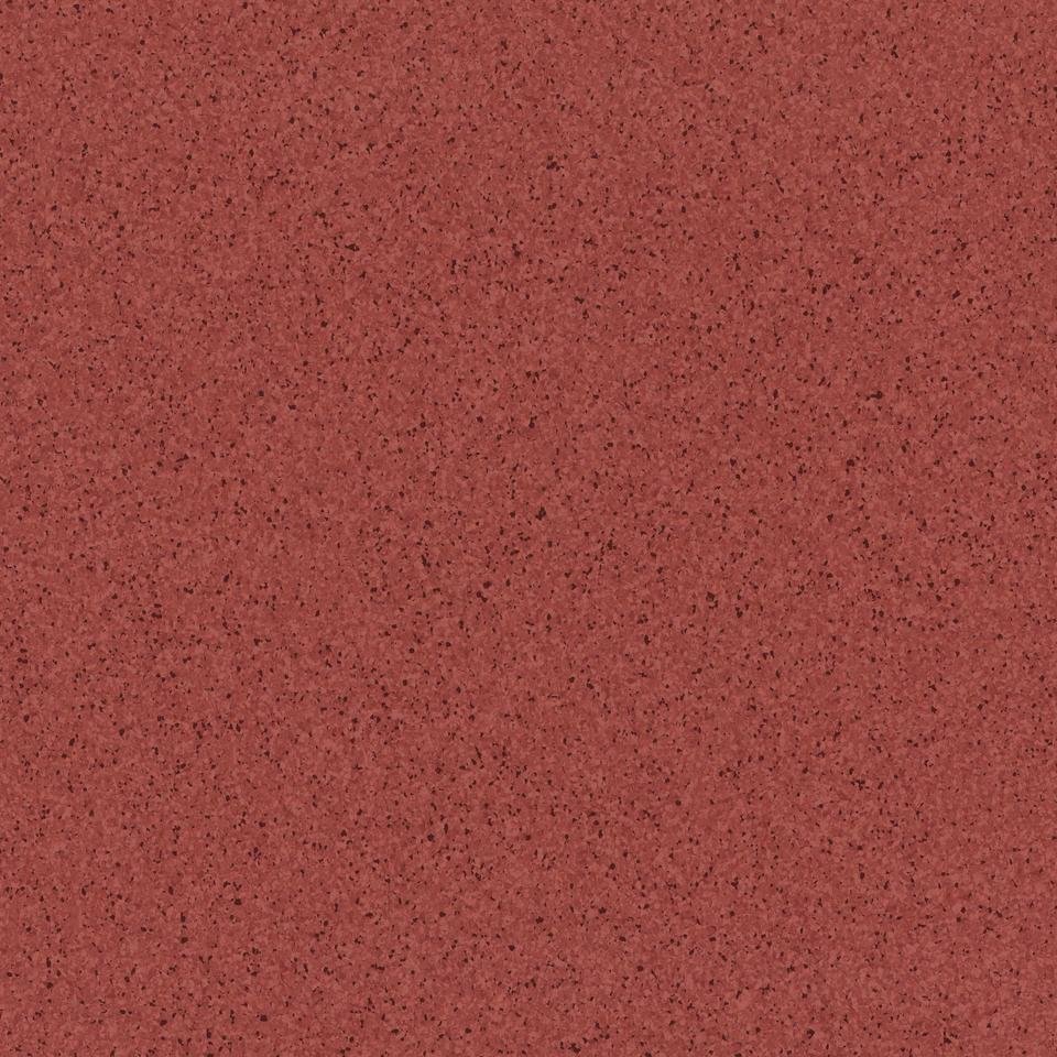 

Линолеум Tarkett Primo Plus 306 (2x3м)