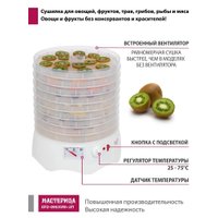 Сушилка для овощей и фруктов Мастерица EFD-0903VM (с прозрачными поддонами + 2 поддона для пастилы и лопатка)
