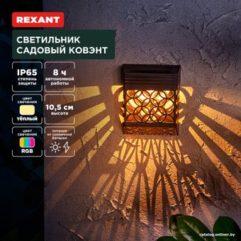 Уличный настенный светильник Rexant Ковэнт 602-2417