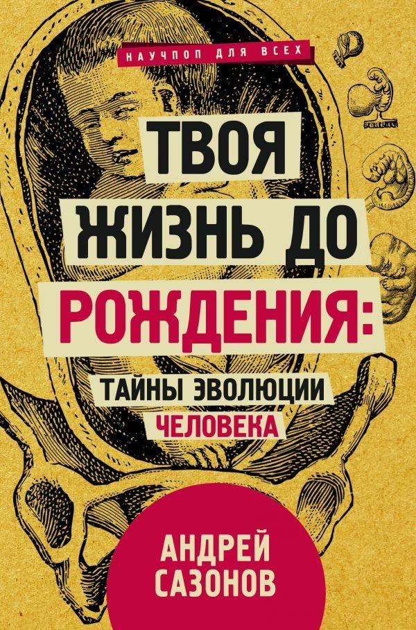 

Книга издательства АСТ. Твоя жизнь до рождения: тайны эволюции человека (Сазонов Андрей)