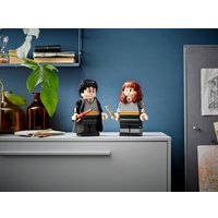 Конструктор LEGO Harry Potter 76393 Гарри Поттер и Гермиона Грейнджер