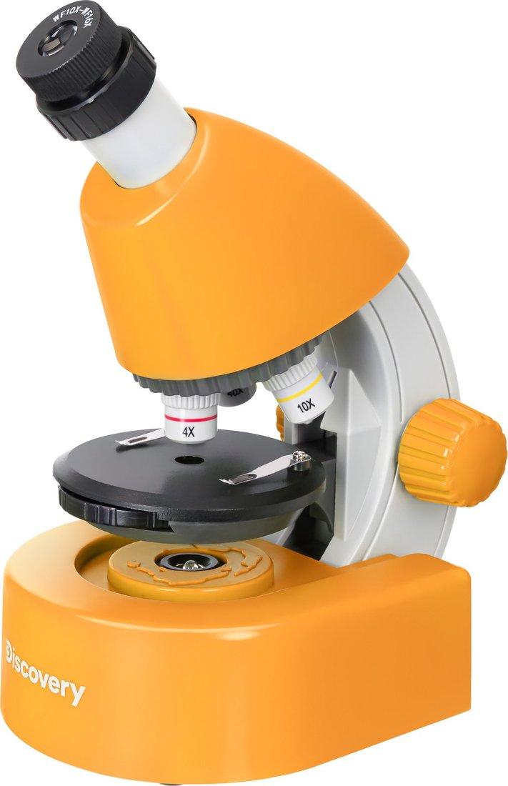 Микроскоп Levenhuk Discovery Micro Solar с книгой 77954