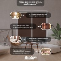 Рулонные шторы Sundays Home LM 168-09 140x170 (коричневый)