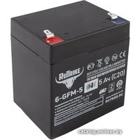 Тяговый аккумулятор Rutrike 6-GFM-5 (5 А·ч) в Могилеве