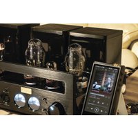 Настольный усилитель Cayin HA-300MK2 (серебристый)