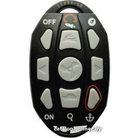 Лодочный мотор Haswing Cayman B 55 lbs GPS в Гомеле