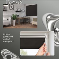 Рулонные шторы Franc Gardiner Blackout Silver 55x160 9403219791 (черный)