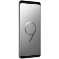 Смартфон Samsung Galaxy S9+ Dual SIM 64GB Exynos 9810 (титан)