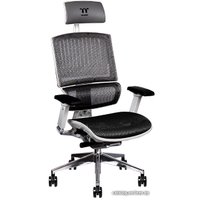 Офисное кресло Thermaltake CyberChair E500 GGC-EG5-BWLFDM-01 (серый)