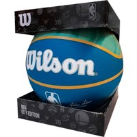 Баскетбольный мяч Wilson NBA Team City Collector Charlotte Hornets WZ4024104XB7 (7 размер) в Бресте