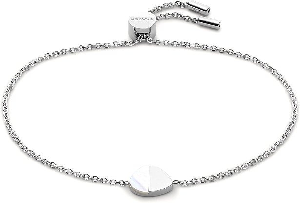 

Браслет Skagen SKJ1560040
