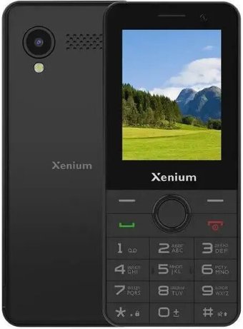 Кнопочный телефон Xenium X900 (черный)