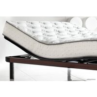 Кровать-трансформер Askona Ergomotion 3160 Plus 160x200 (дерево, коричневый)