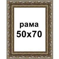 Фоторамка Декарт 50x70 8Л3602 (серебристый)