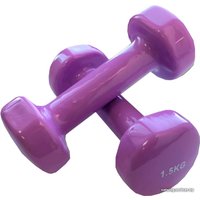 Набор гантелей Indigo 92005 IR 2x1.5 кг (сиреневый)
