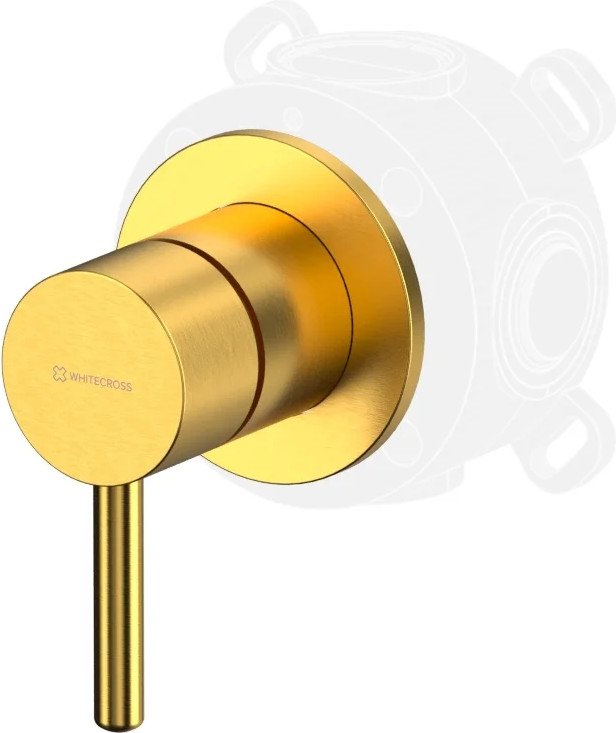 

Смеситель Whitecross Y1241GLB (брашированное золото)