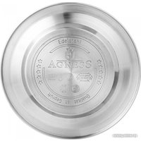 Чайник со свистком Agness Teekessel 907-254