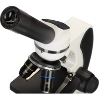 Микроскоп Levenhuk Discovery Pico Polar с книгой 77977