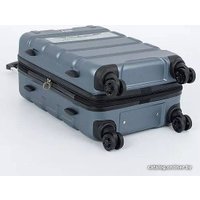 Чемодан-спиннер Francesco Molinary 336-161426/3-20 (серый)