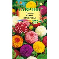 Семена цветов Гавриш Георгина Яркие помпоны Н12 0.2 г