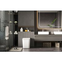 Унитаз приставной Abber Rechteck AC1212P (с импульсным смывом)