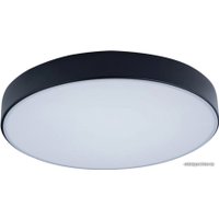 Светильник-тарелка LOFT IT Axel 10002/24 Black