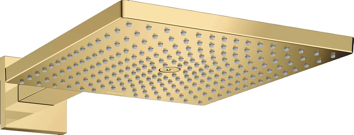 

Душевая лейка Hansgrohe Raindance Е Air 1jet 300 26238990