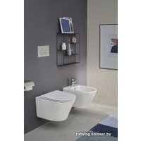 Биде Jacob Delafon Rodin+ EMJ0002-00