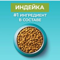 Сухой корм для кошек Purina ONE для домашних с индейкой и цельными злаками 1.5 кг в Бресте