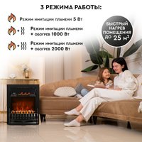 Электрокамин Planta PFP-FS400 (черный)