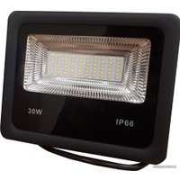 Фонарь БЭЛЗ ДДУ 30W 002 SET108